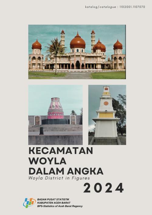 Kecamatan Woyla Dalam Angka 2024