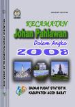 Kecamatan Johan Pahlawan Dalam Angka 2008